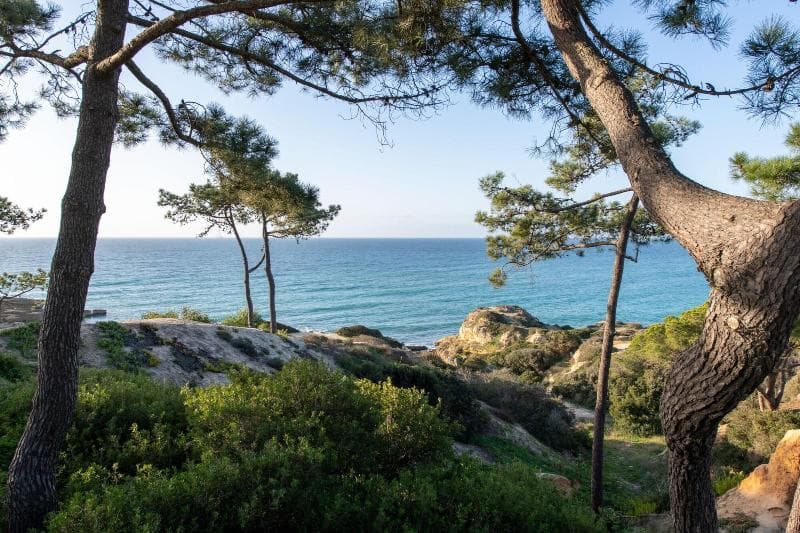 W Residences Algarve 4