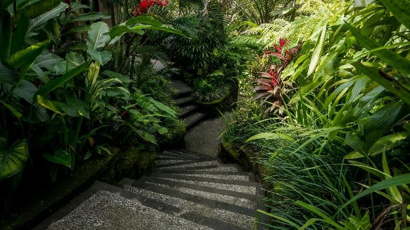 Sakti Garden Resort & Spa photo 1
