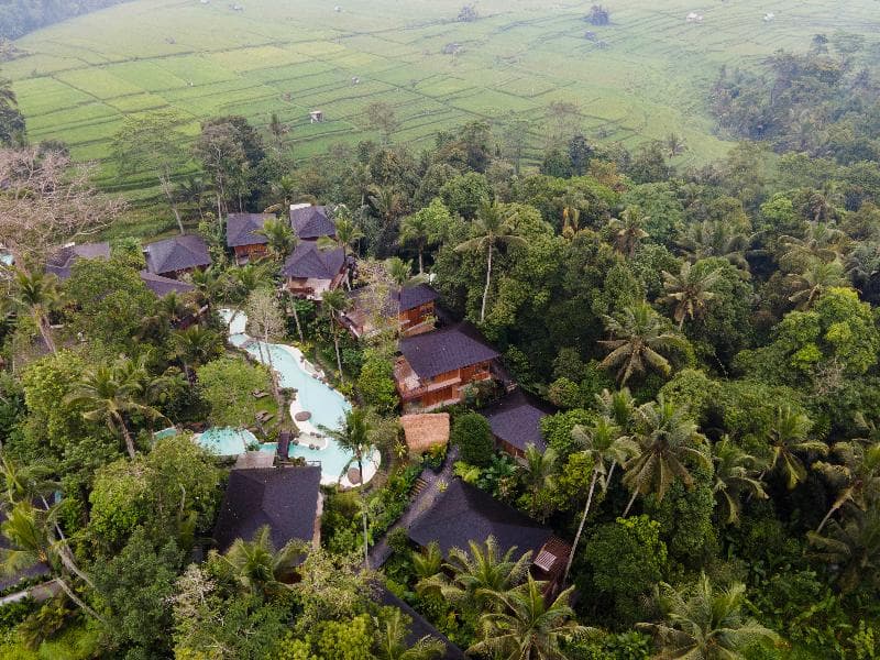 Kappa Senses Ubud 2