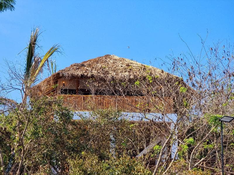 Palm Valley Cabins 3