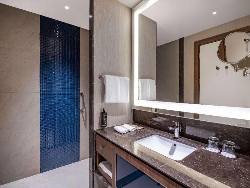Tbilisi Philharmonic By Mercure Hotel 4