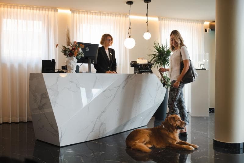 3T Boutique Hotel 5