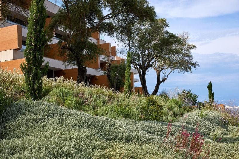 Angsana Corfu Resort & Spa 4