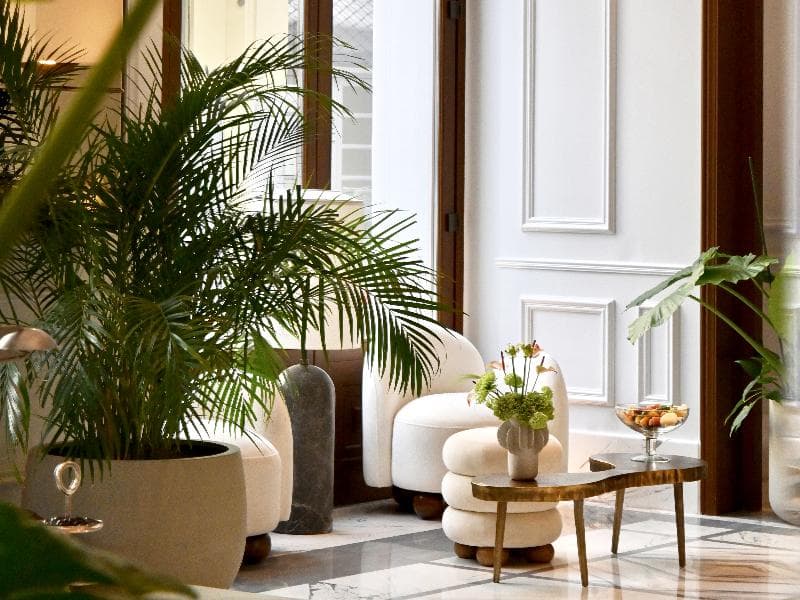 The Dolli At Acropolis, A Hotel To Live 5