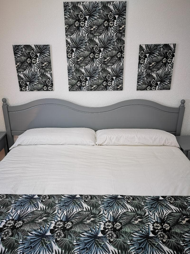 Apartamentos Oasis San Antonio 4