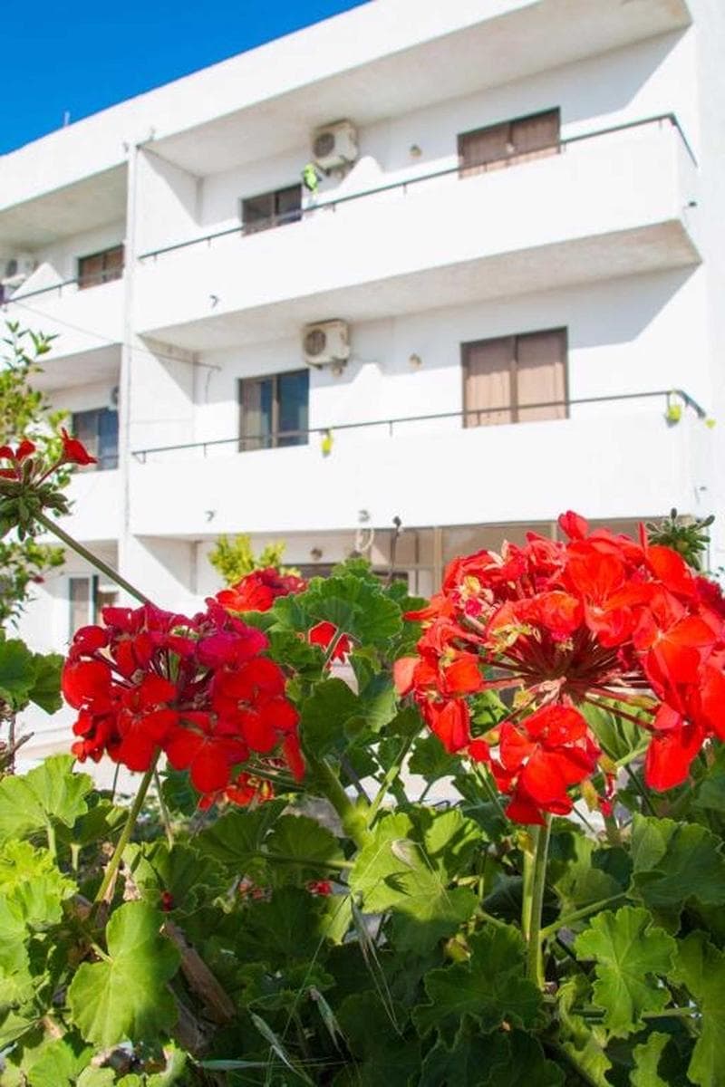 Nikos B&B Adults Only 1