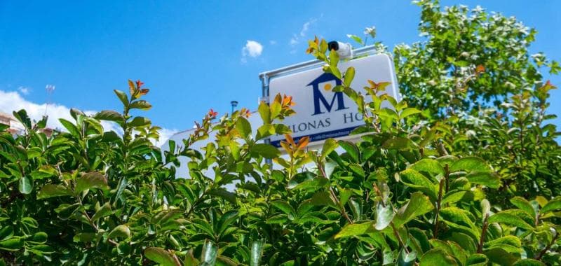Milonas House Apartments 4