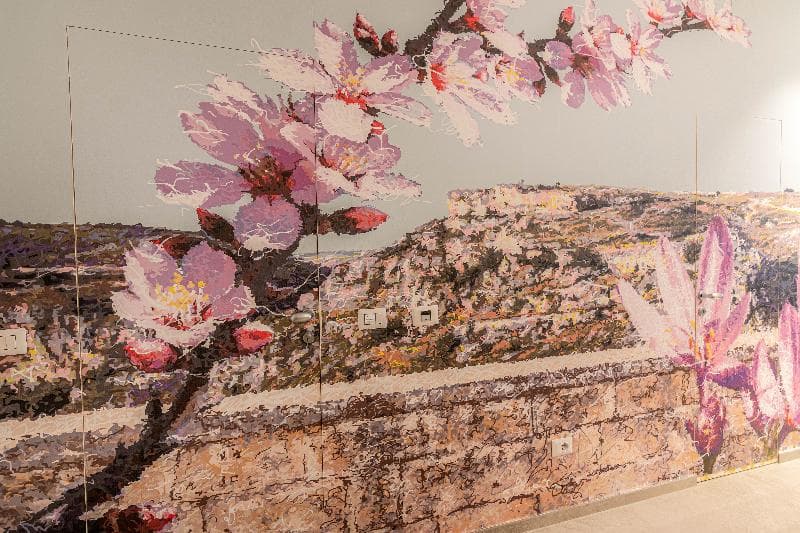 Profumi Di Primavera Luxury Rooms 3