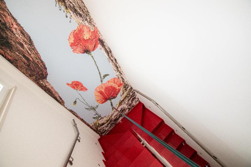 Profumi Di Primavera Luxury Rooms 5