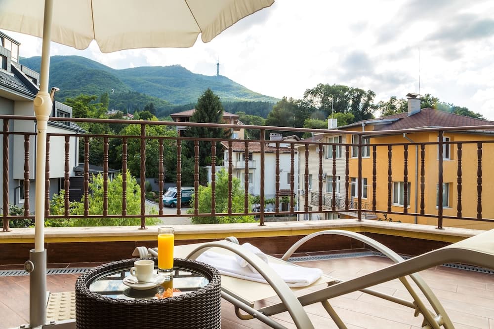 Hotel Villa Boyana main