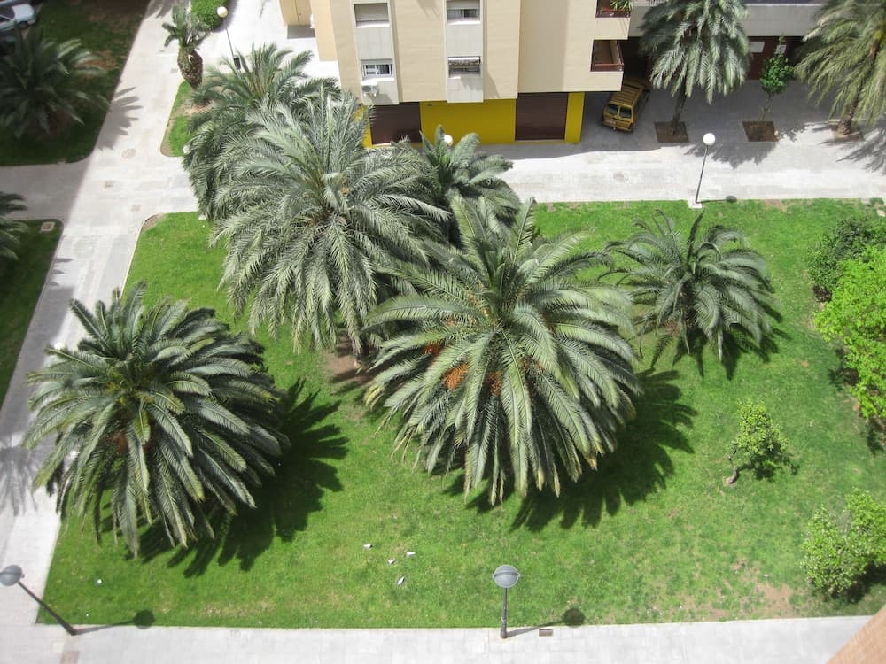 Plaza Picasso Apartamentos