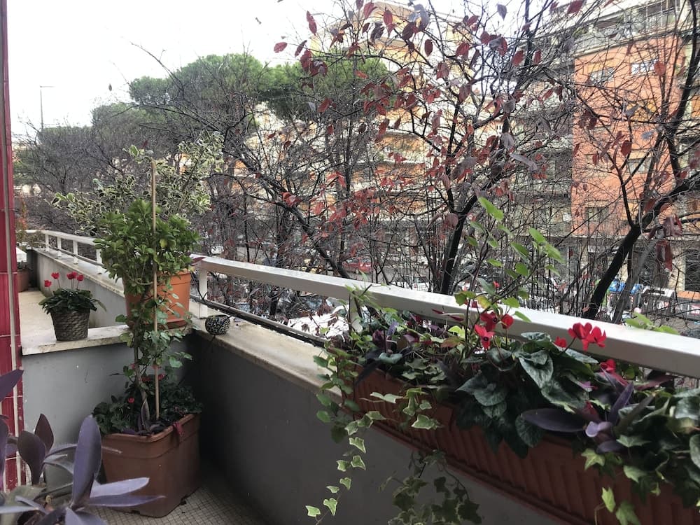 Casa Mia Vaticano