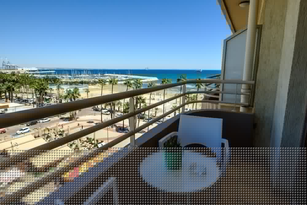 Les Palmiers Hotel main