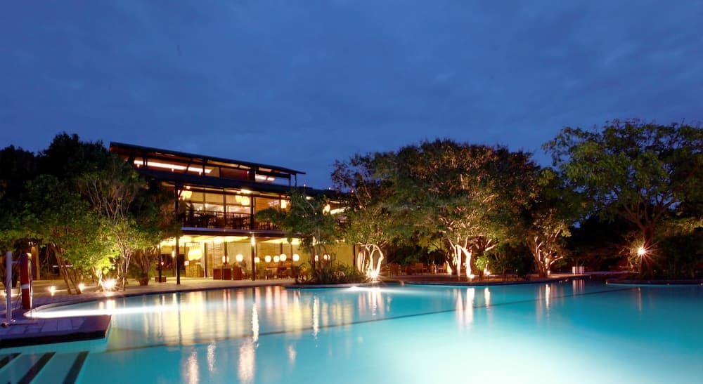 Cinnamon Wild Yala main