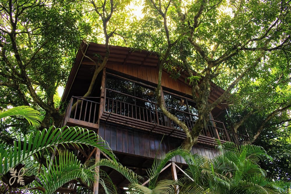 Heliconias Nature Lodge main