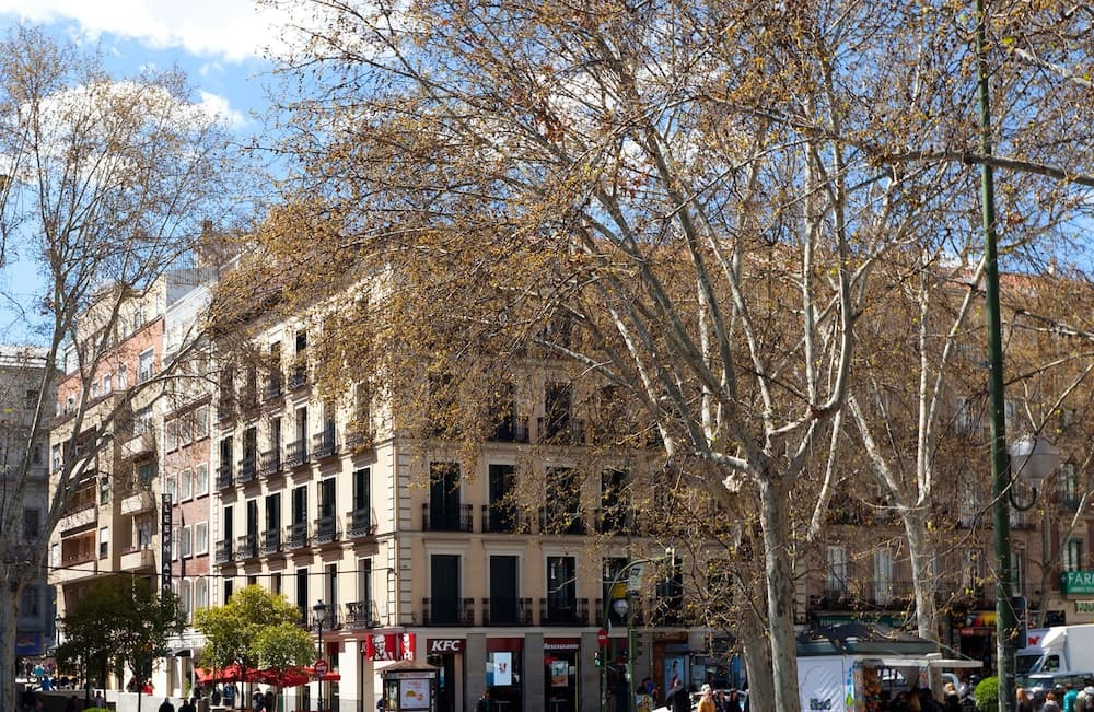 Sleep'n Atocha main