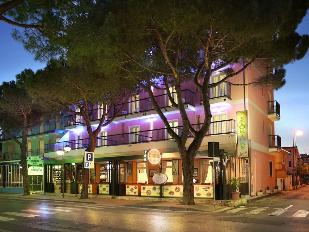 Hotel Storione main