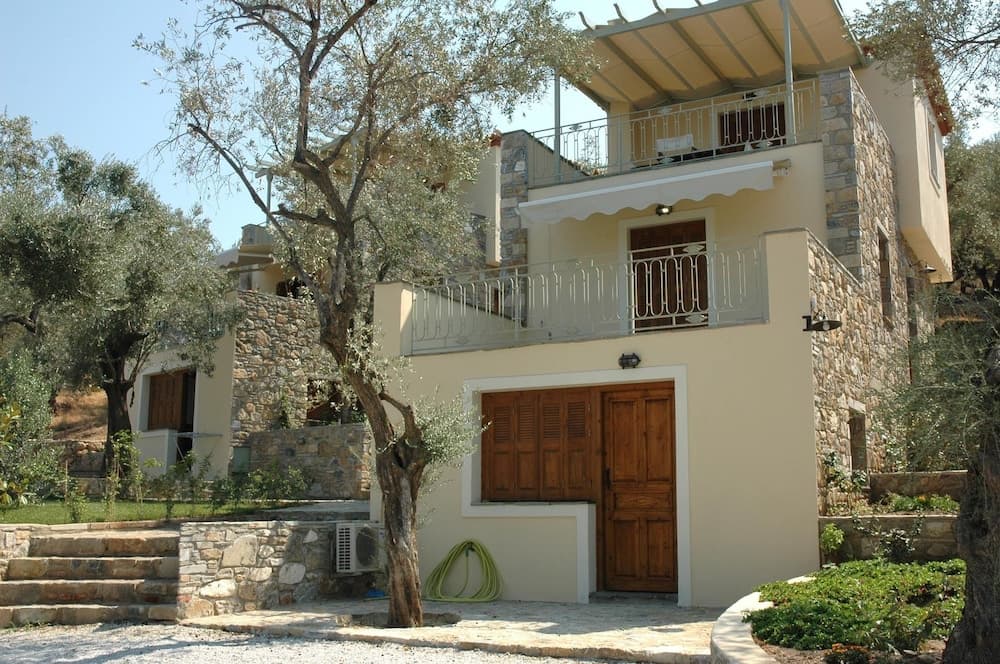 Gera's Olive Grove main