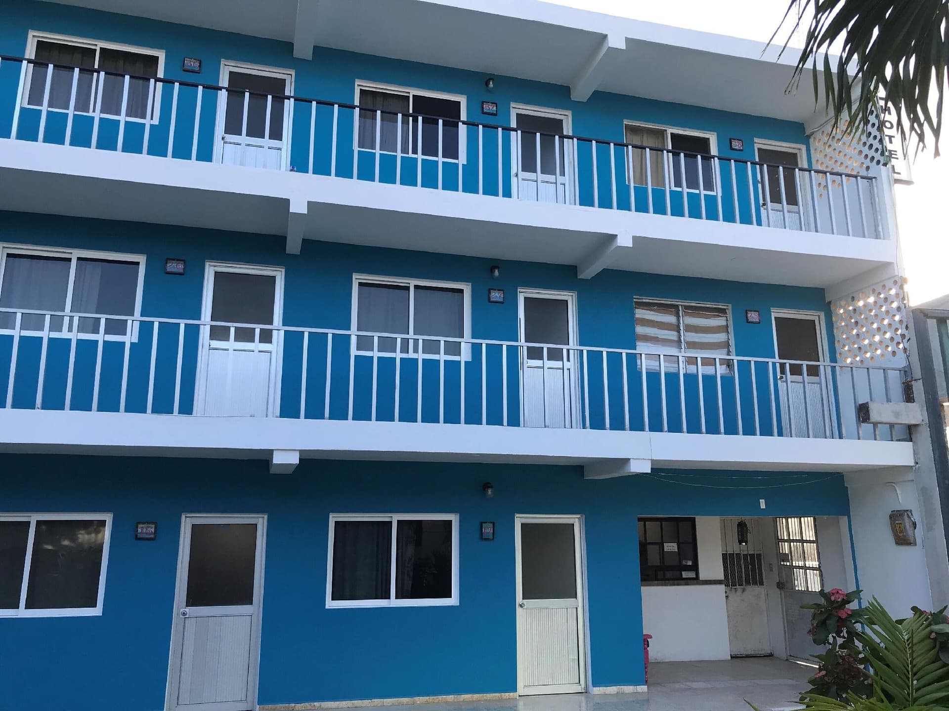 Blue Coconut Cancun