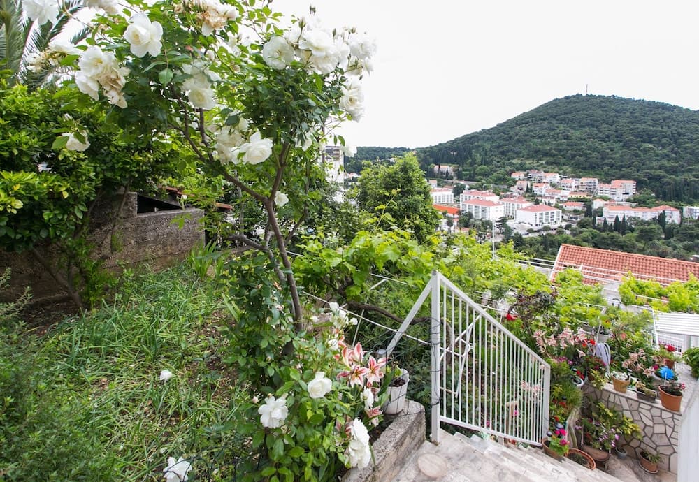 Apartments Zore Glavinic