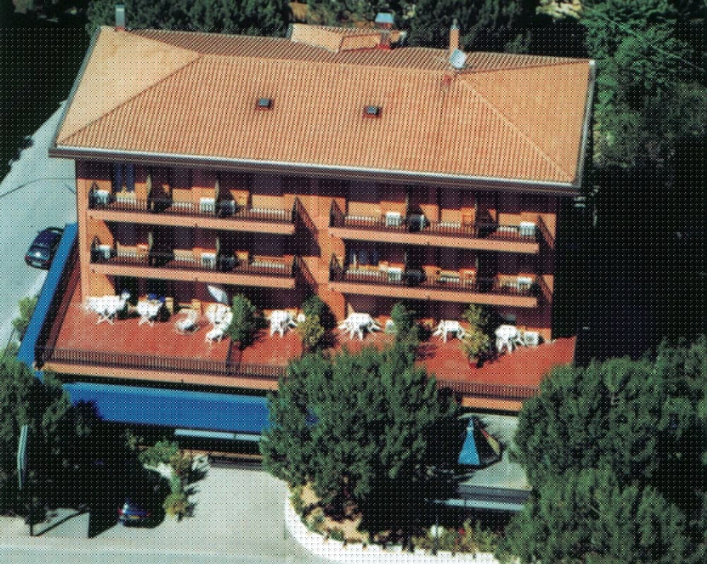La Vela main