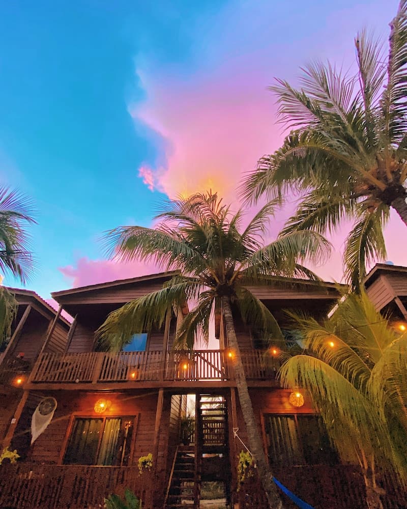 Coconut by ÓOL Hotels main