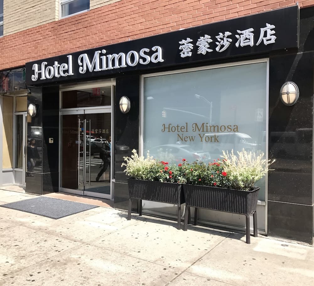 Hotel Mimosa main