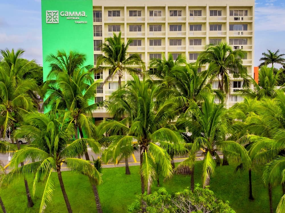 Gamma Tampico main