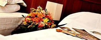 Phoenicia Comfort Hotel main