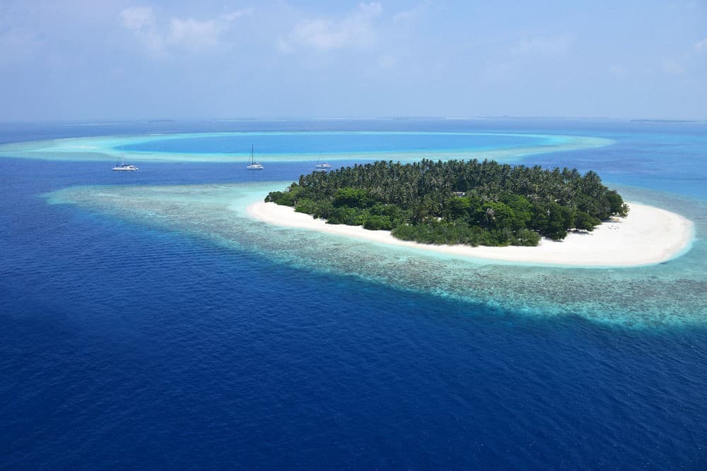 Malahini Kuda Bandos main