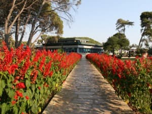 Sol Tropikal Durres main