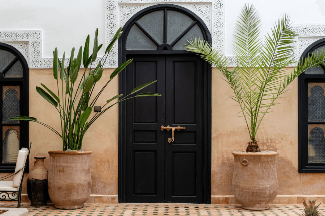 Riad Amegrad main