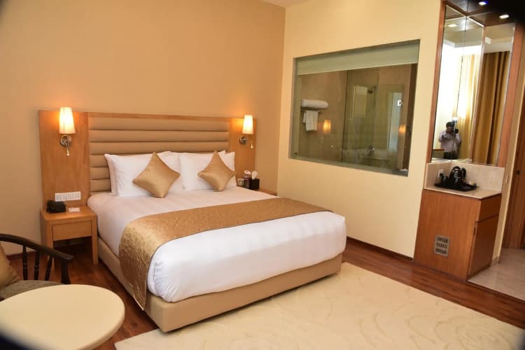 Opulent By Udman Chattarpur 3