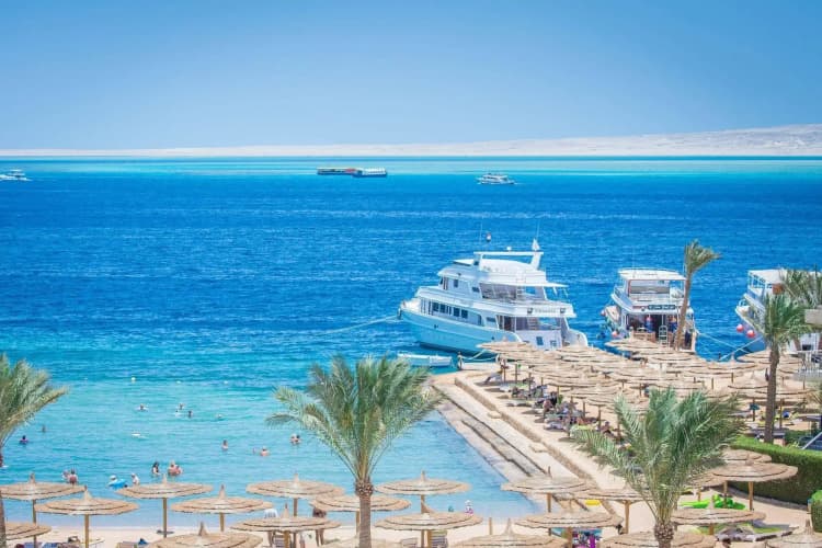 Seagull Beach Resort 5