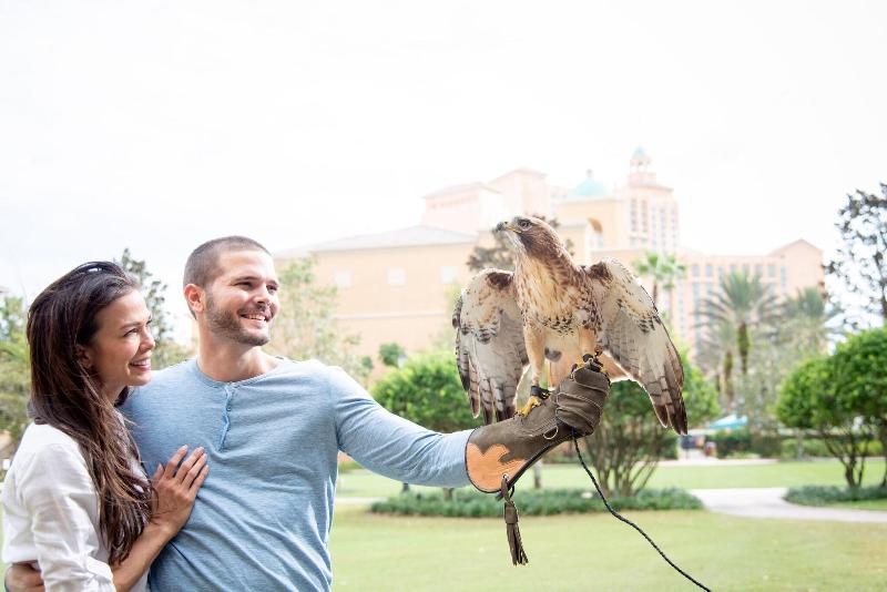 Jw Marriott Orlando, Grande Lakes 2