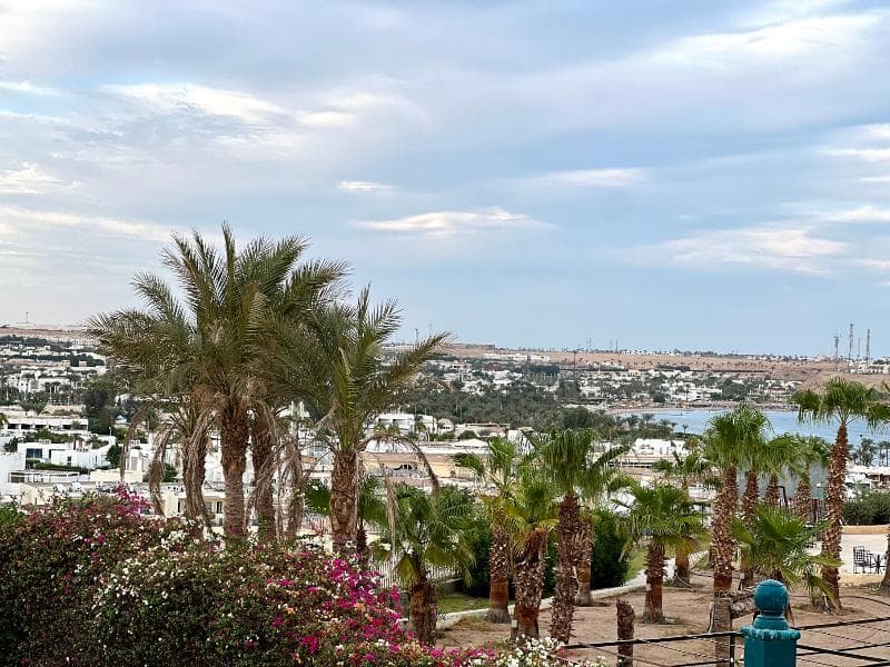 Sharm Cliff Resort photo 1