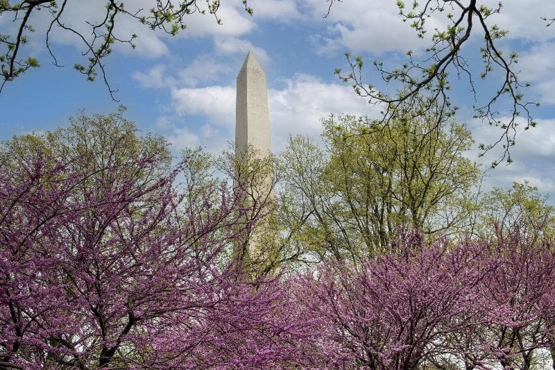 Residence Inn Washington, Dc/Foggy Bottom 5