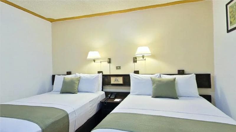 Hotel Misión Xalapa Plaza de las Convenciones main