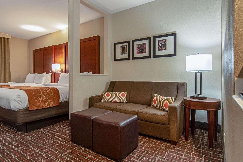 Comfort Suites NW Dallas Near Love Field 5