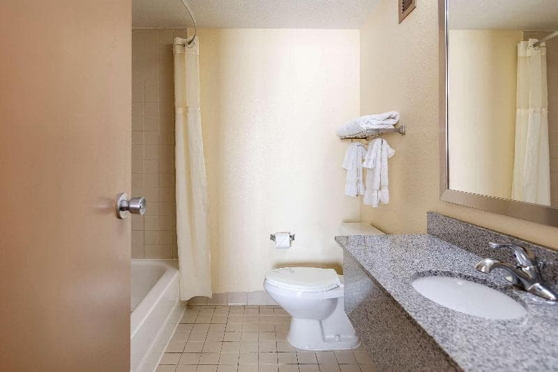 Clarion Hotel Detroit Metro Airport 5