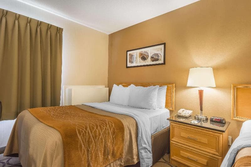 Comfort Inn Cobourg 3