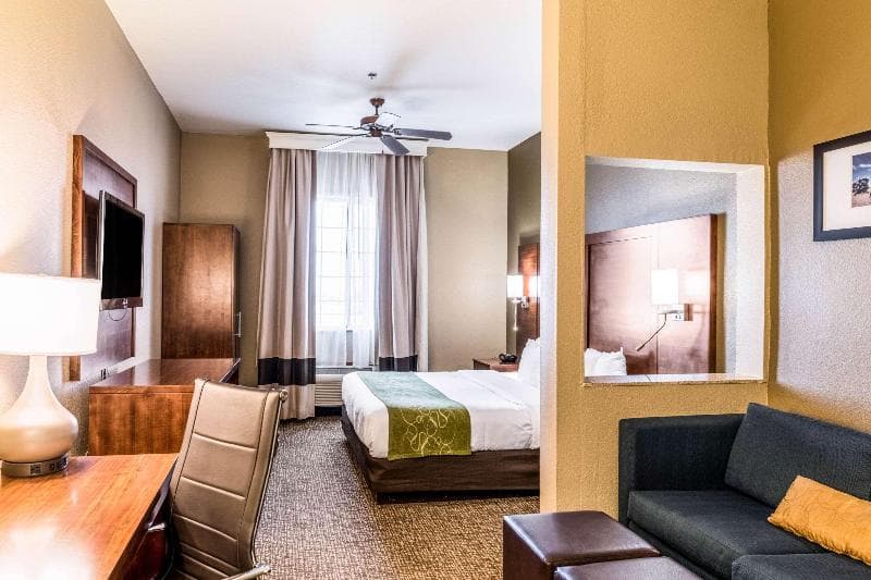 Comfort Suites South 4
