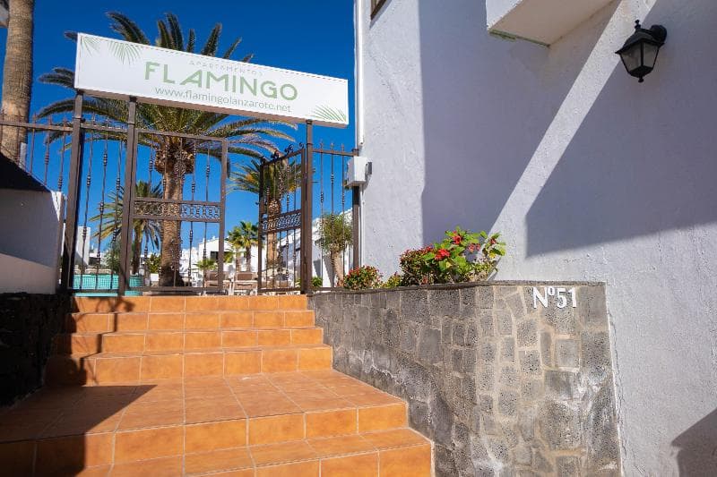Apartments Flamingo 4