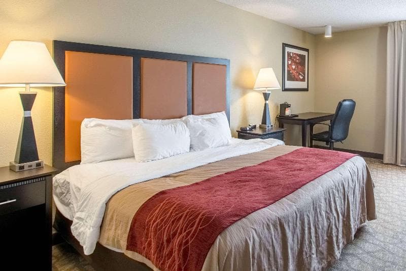 Comfort Inn East 3