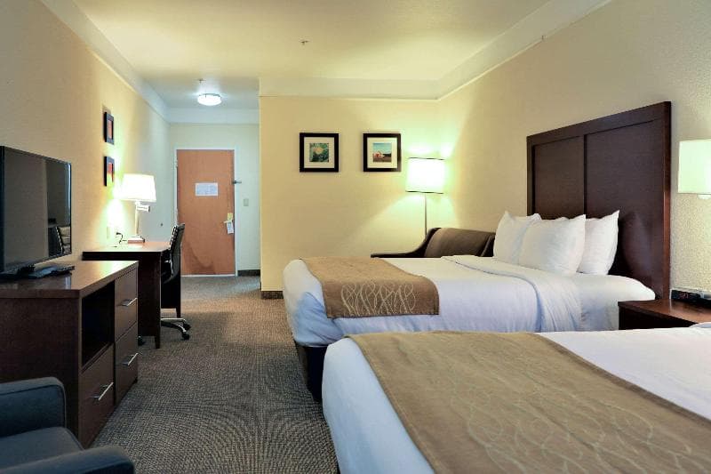 Comfort Inn & Suites 4