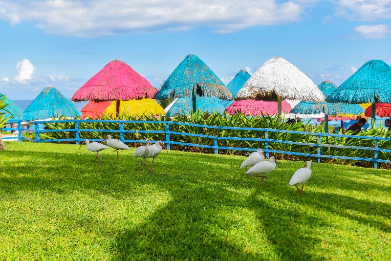 Grand Oasis Cancun 4
