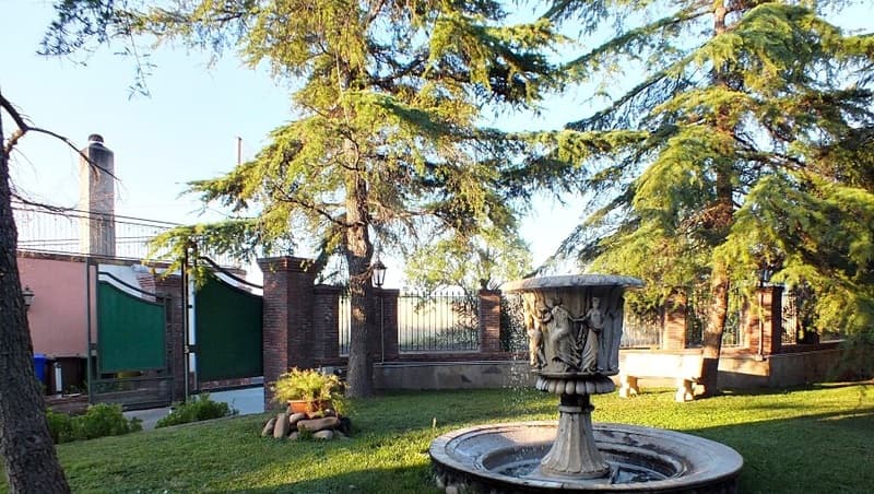 Valle degli Ulivi 5