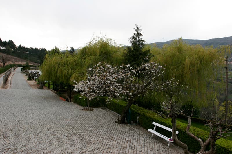 Quinta da Timpeira 3
