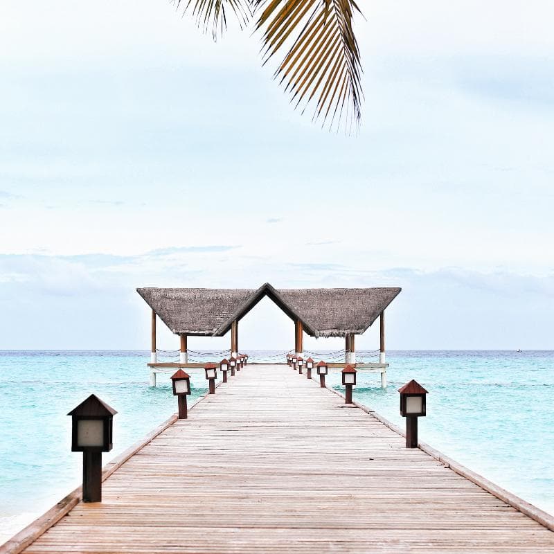 Palm Beach Island Resort & Spa 5