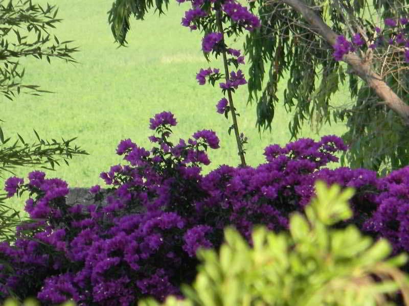 Is Benas Country Lodge 4